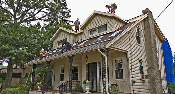 Best Roof Repair Specialists  in Warren, IN