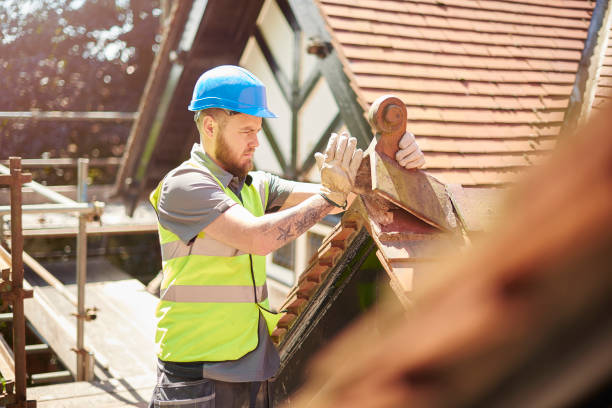 Best Roof Gutter Cleaning  in Warren, IN