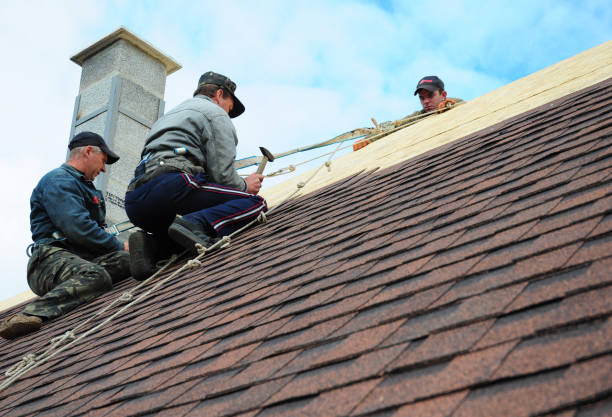 Roof Gutter Cleaning in Warren, IN