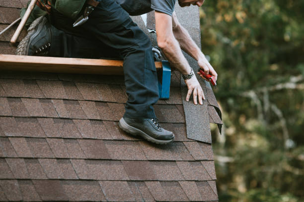 Best Metal Roofing Contractor  in Warren, IN